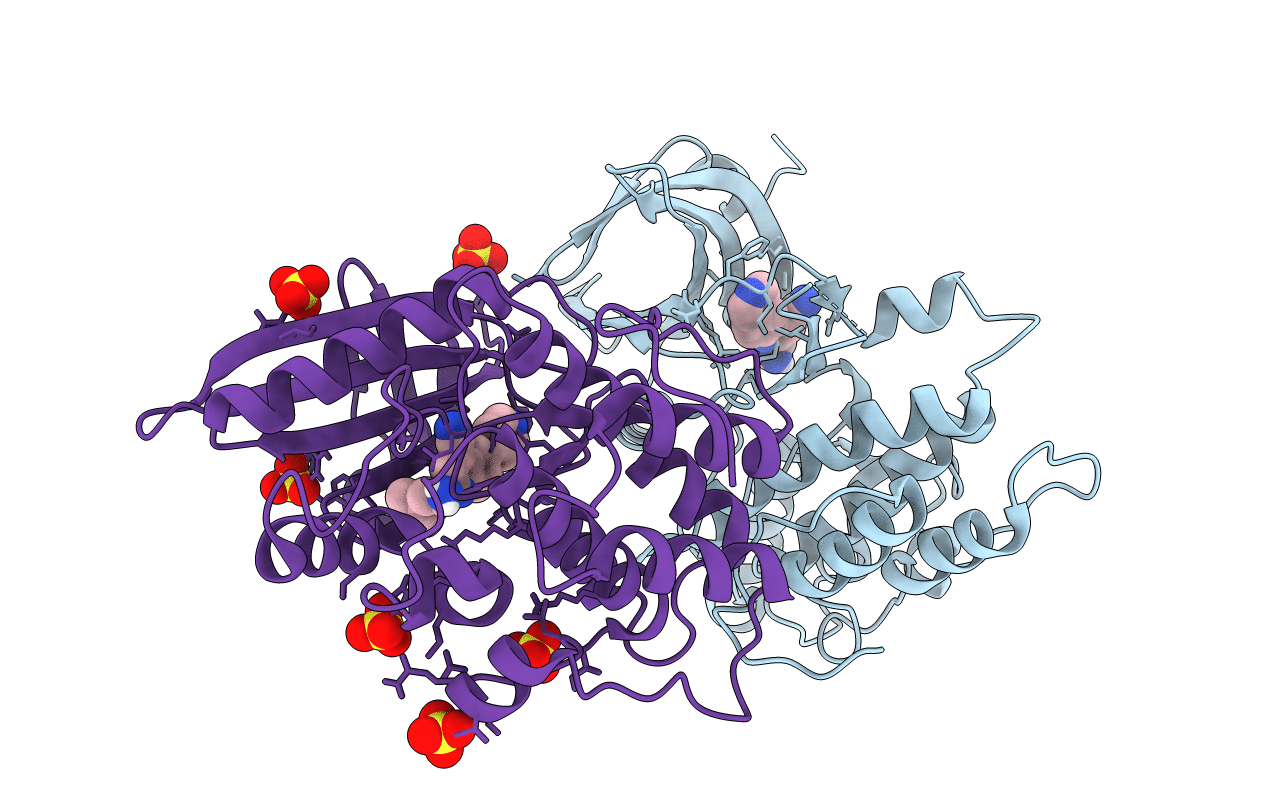 7RJ7 image