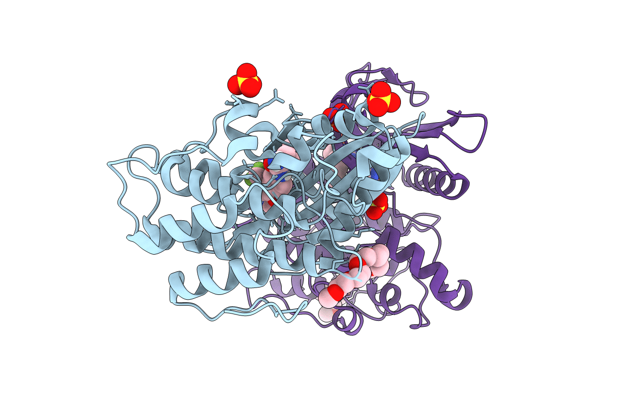 7RJ8 image