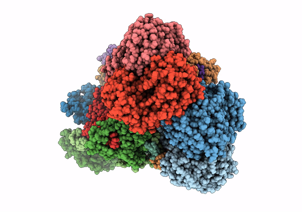 7RJA image