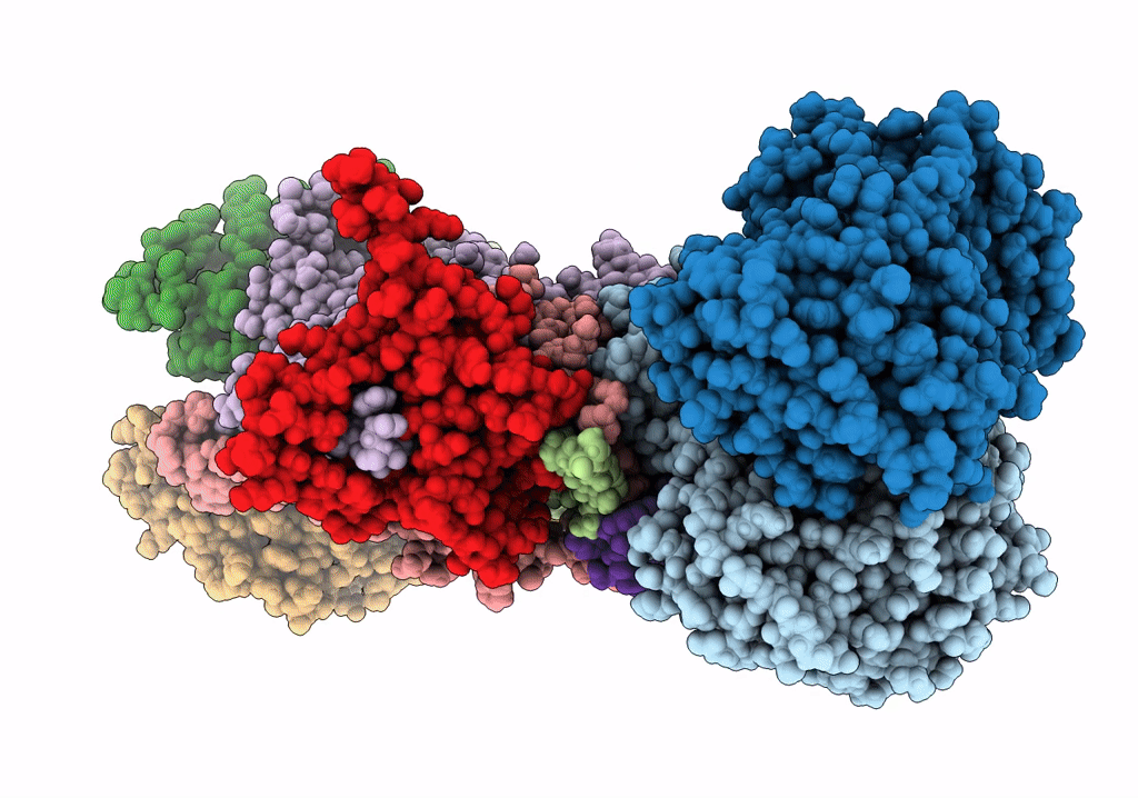 7RJC image