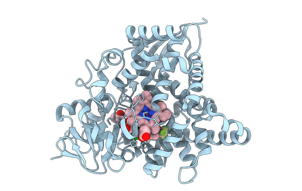 7RKT image