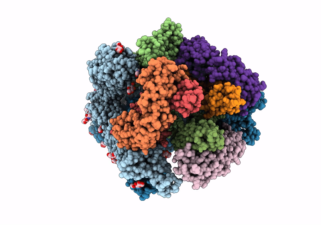 7RKV image
