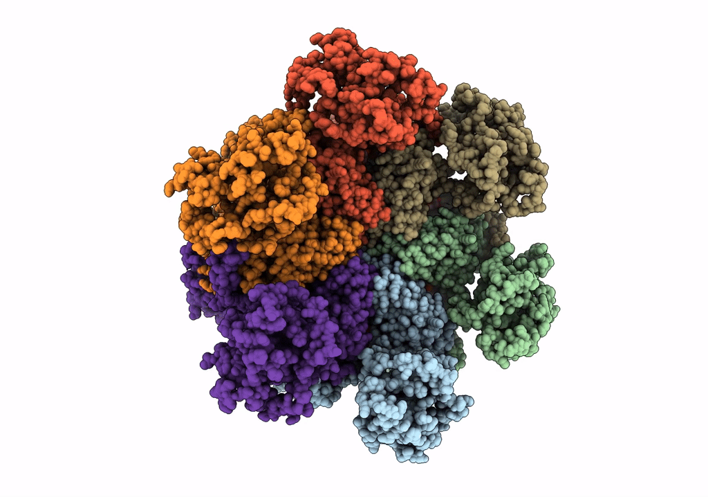 7RLA image