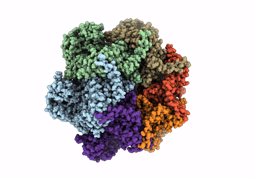 7RLB image