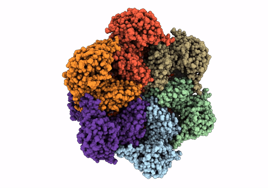 7RLF image