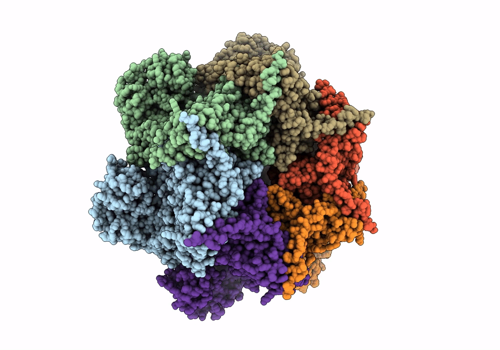 7RLG image