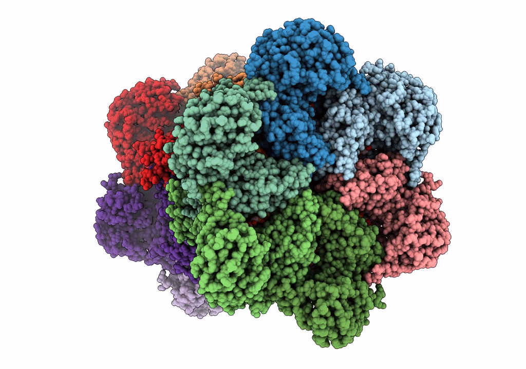 7RLJ image