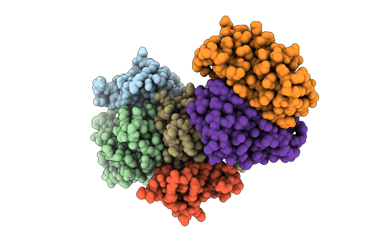 7RLK image