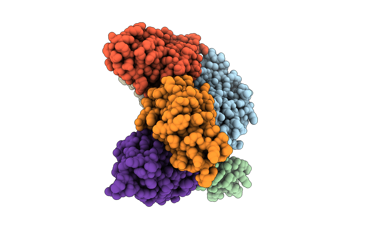7RLM image