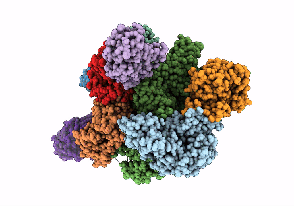 7RLO image