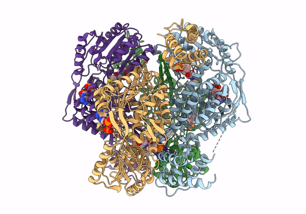 7RLU image
