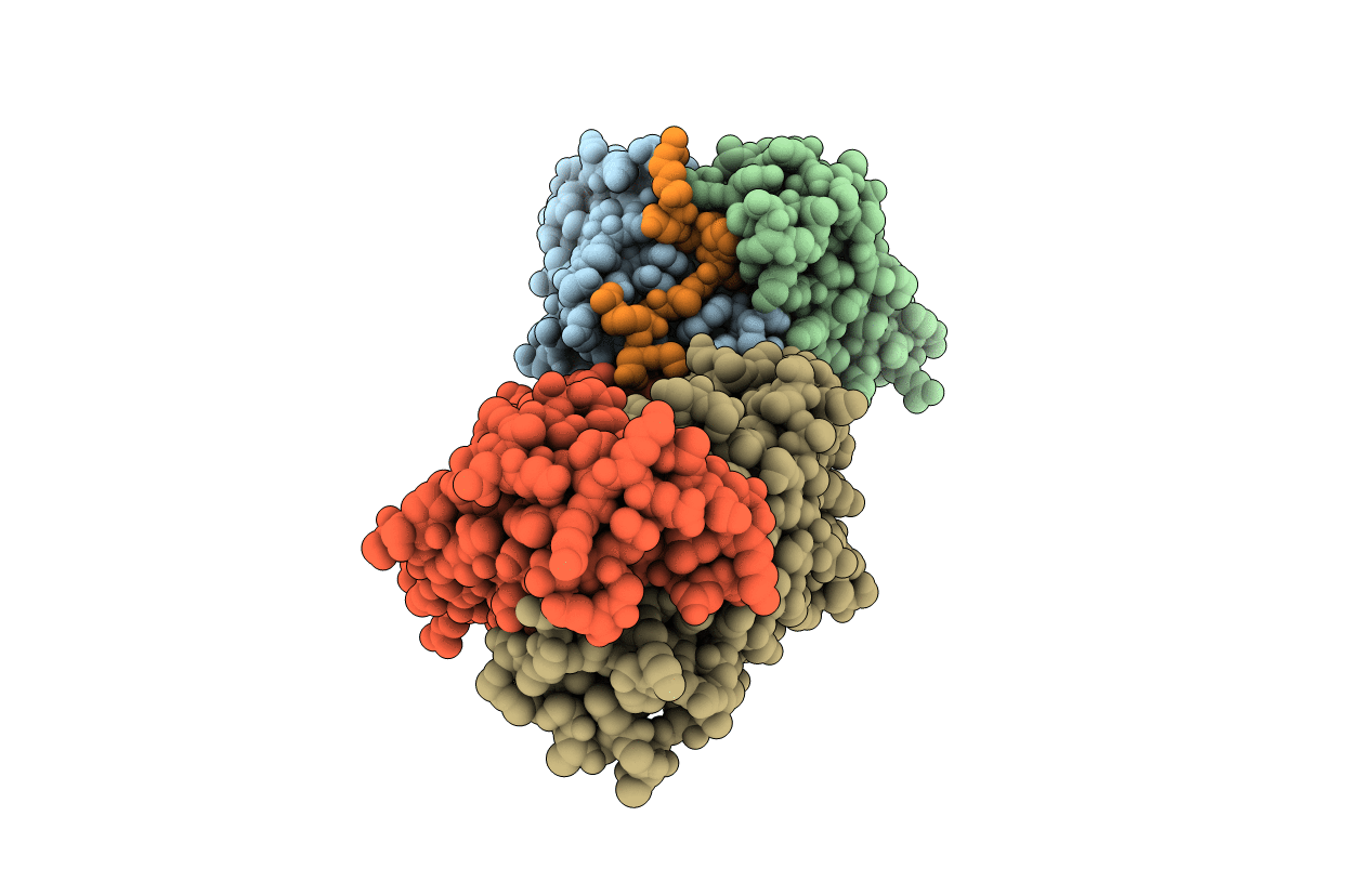 7RLW image