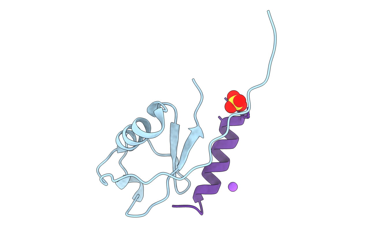 7RMA image