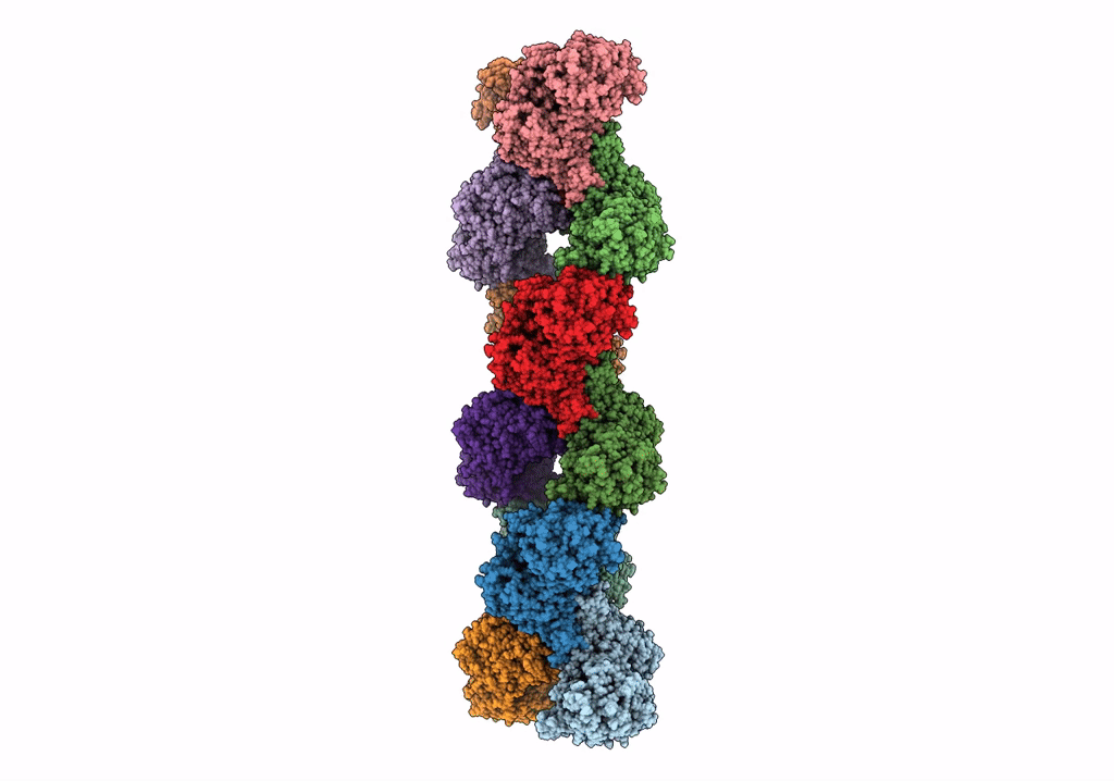 7RMC image