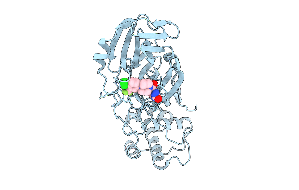 7RME image