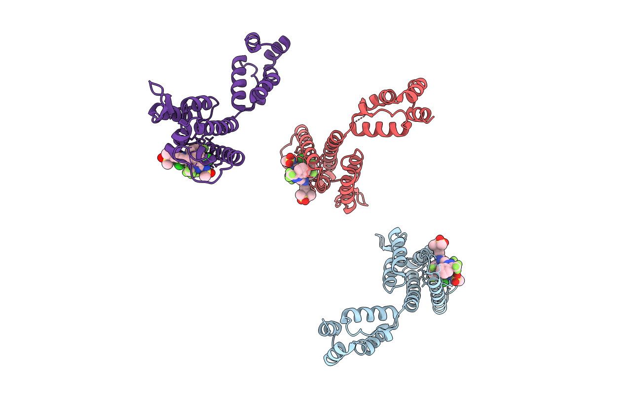 7RMJ image