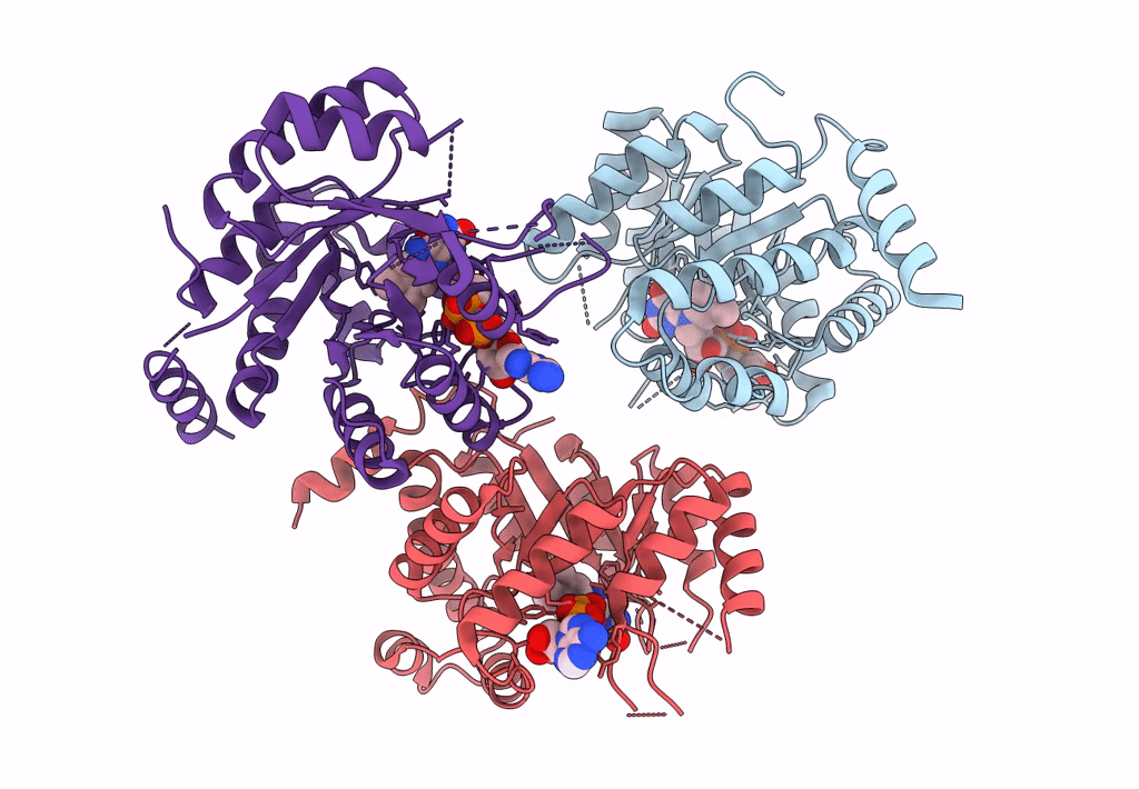 7RML image