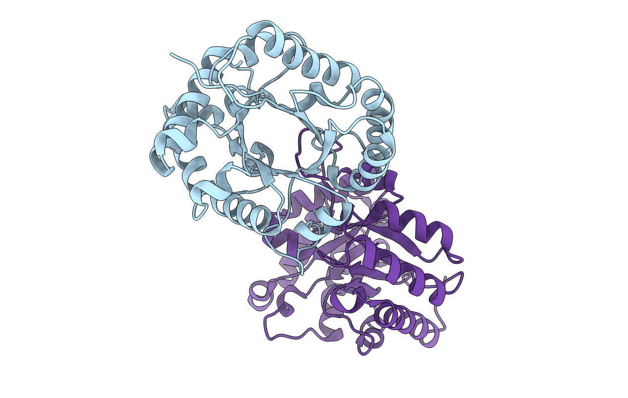 7RMN image
