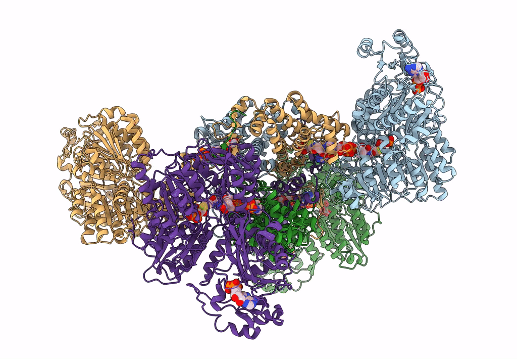 7RMP image