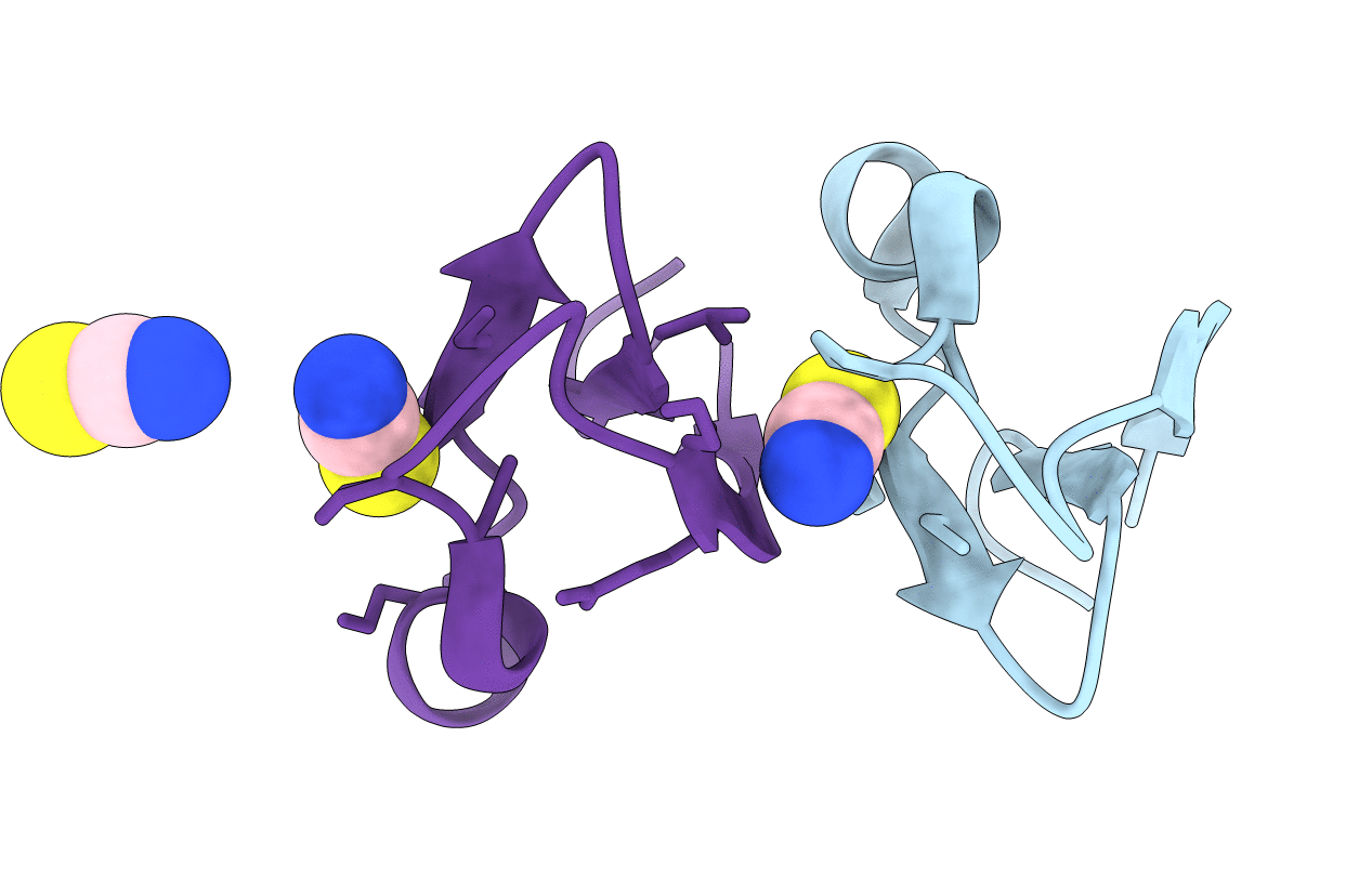 7RMS image