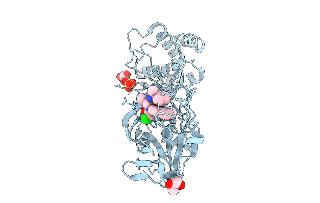7RN1 image