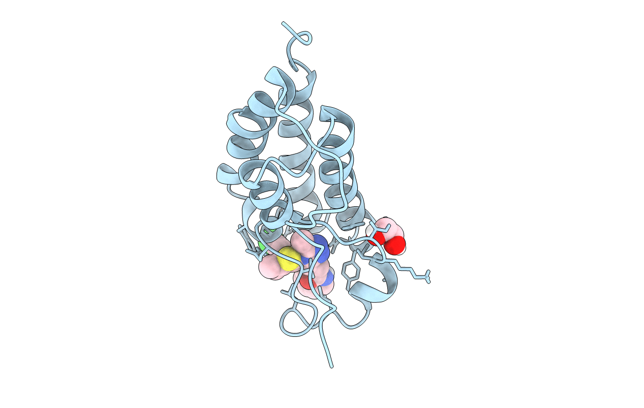 7RN2 image