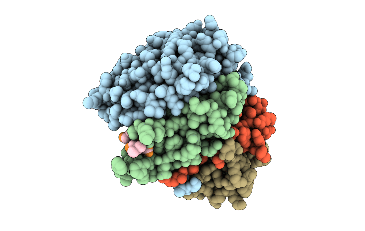 7RN8 image