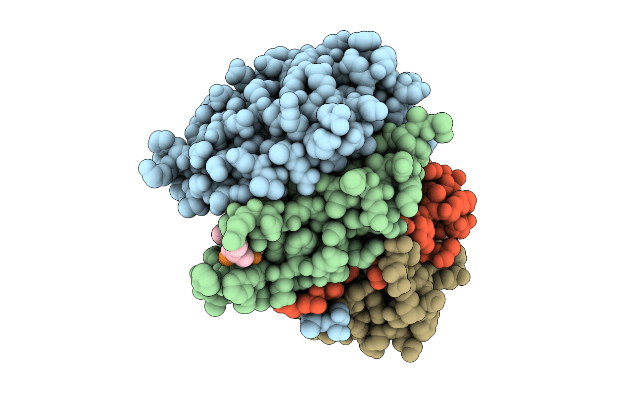 7RNA image