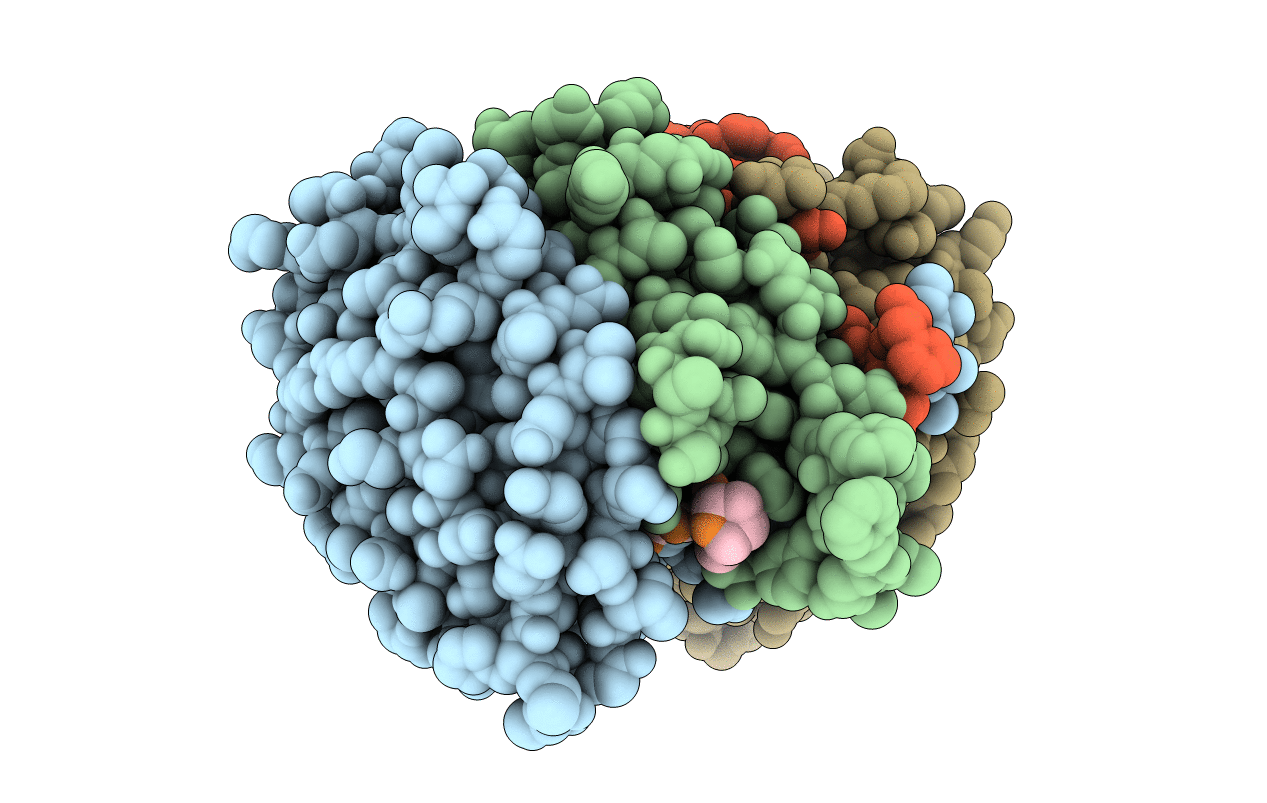 7RNE image
