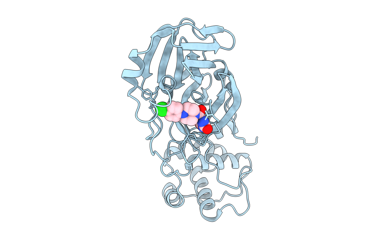 7RNH image