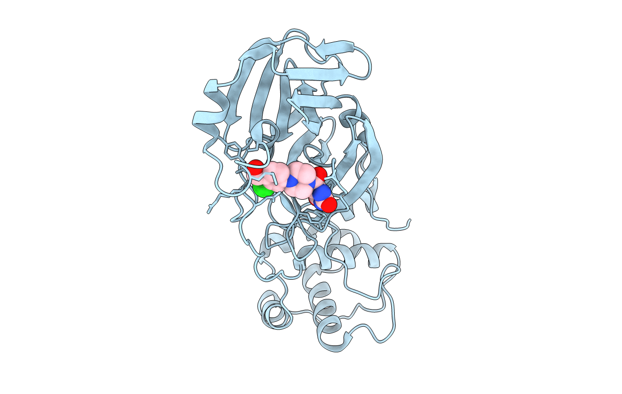 7RNK image