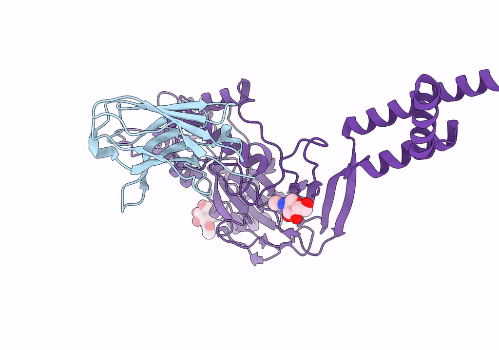 7RNN image
