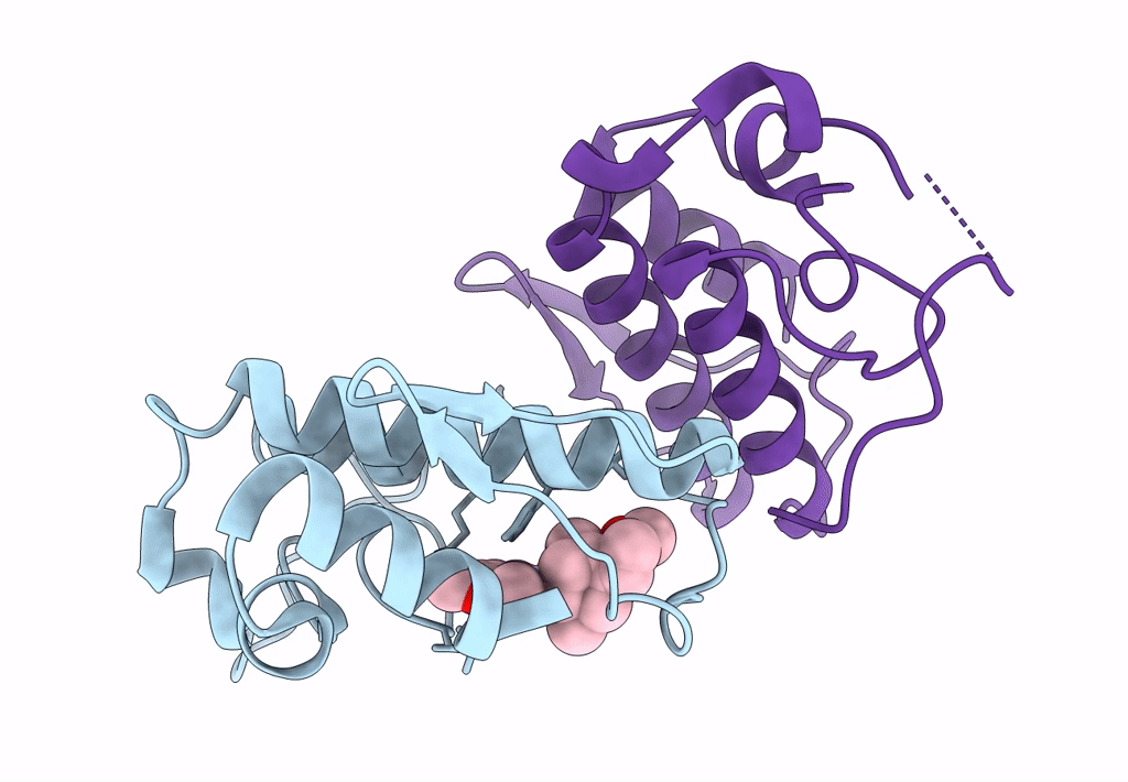 7ROX image