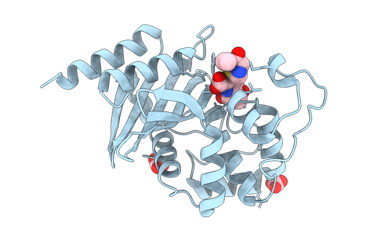7RPB image