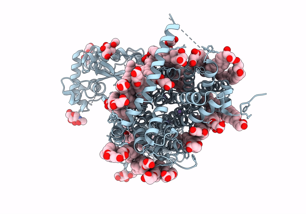 7RPH image