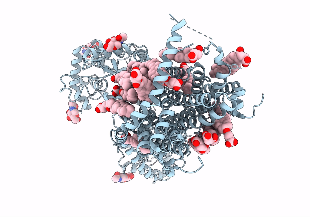 7RPJ image