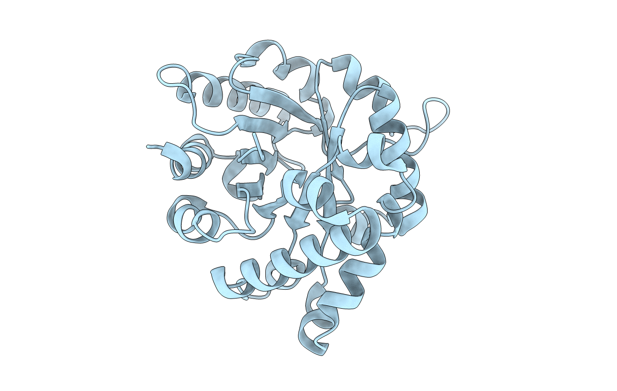 7RPN image