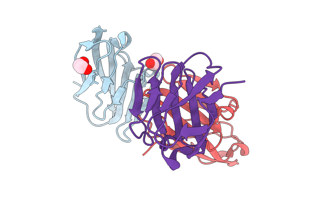 7RPP image