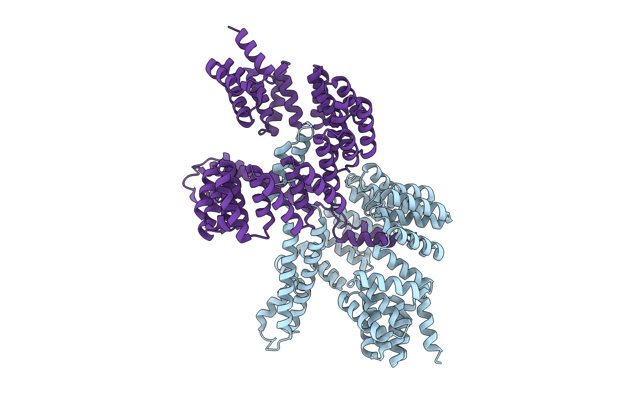 7RQF image