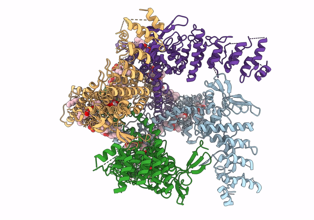 7RQV image