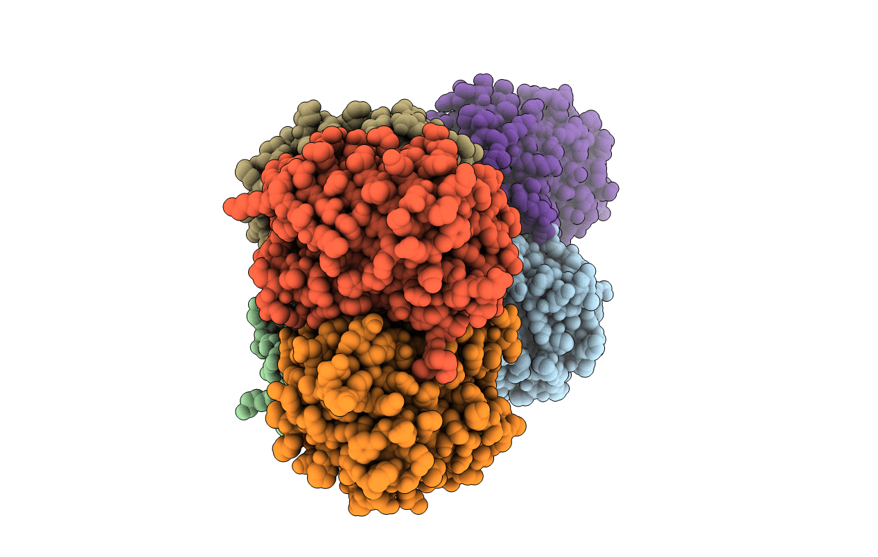 7RRH image