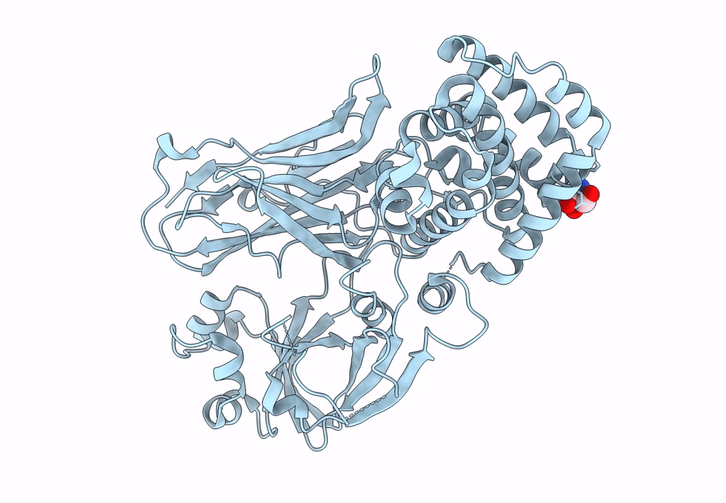 7RRW image