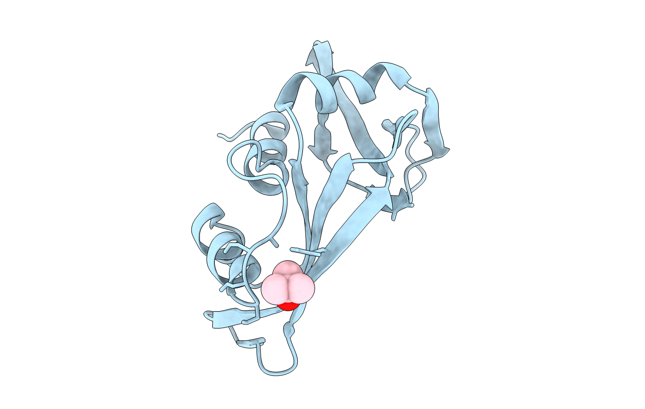 7RSA image