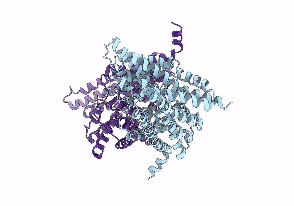 7RSB image