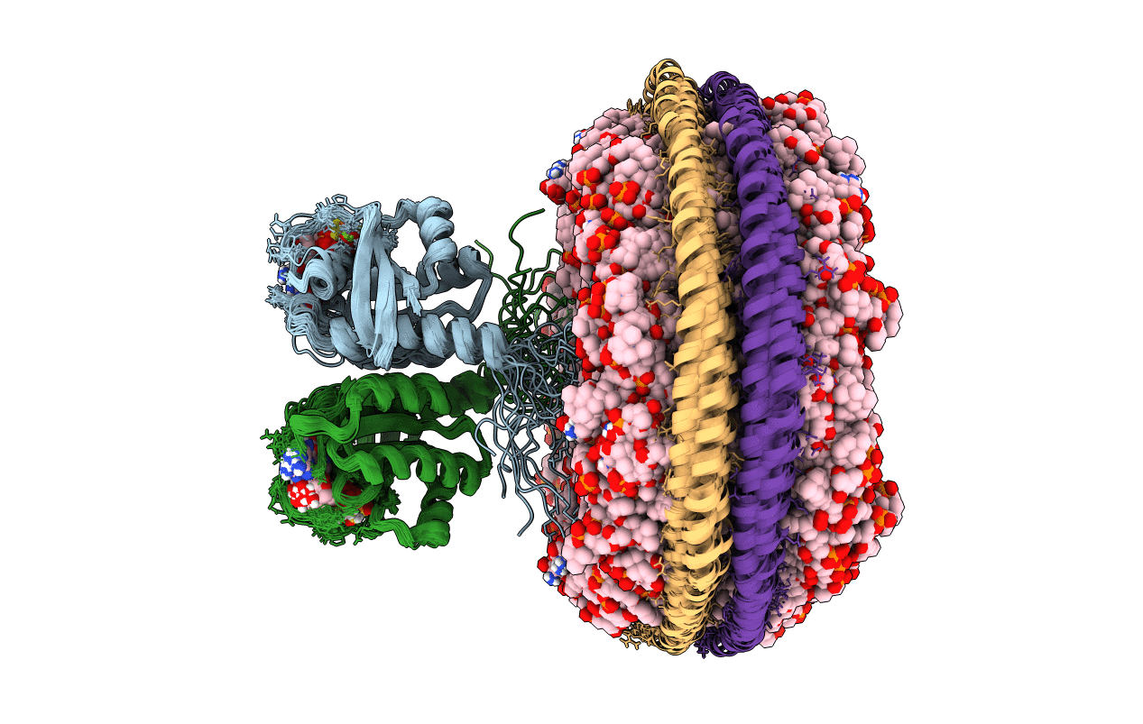 7RSC image