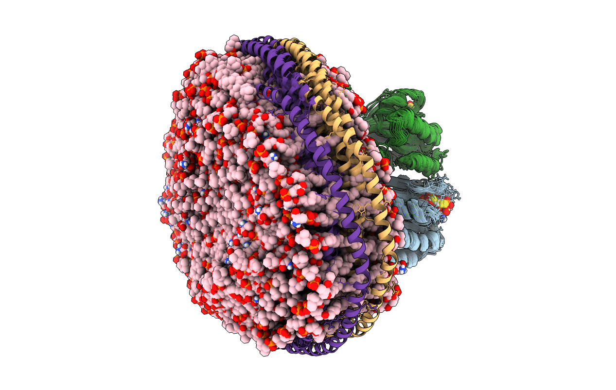 7RSE image