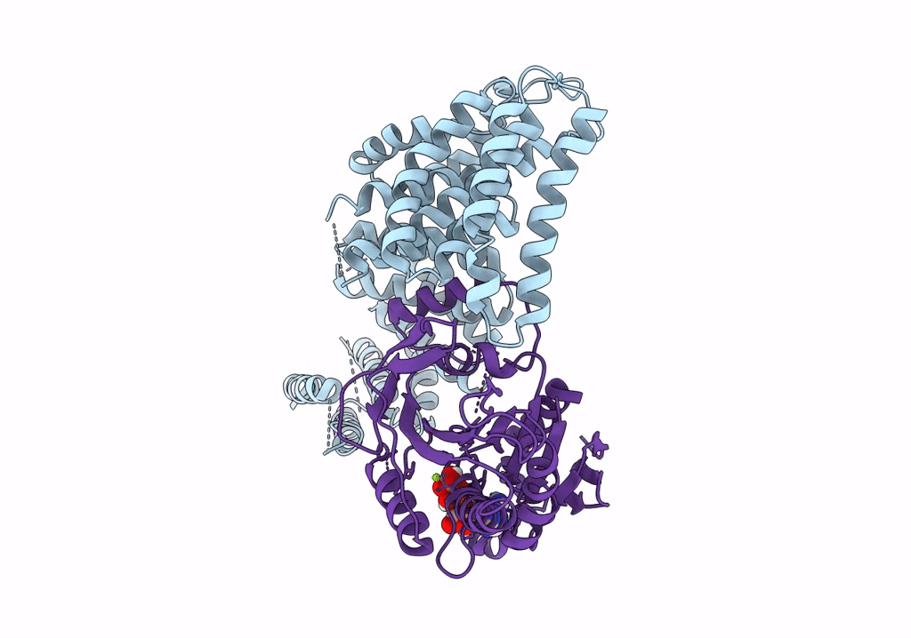 7RSI image