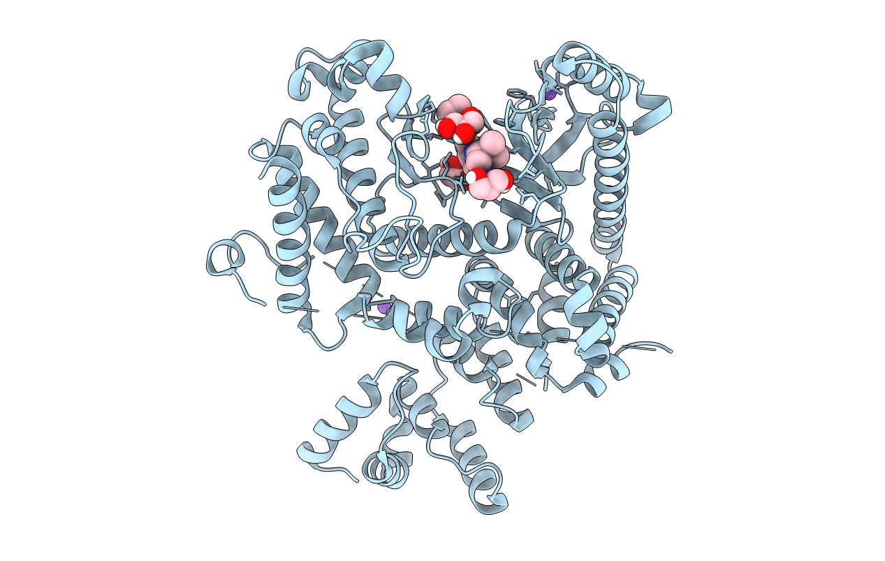 7RSJ image