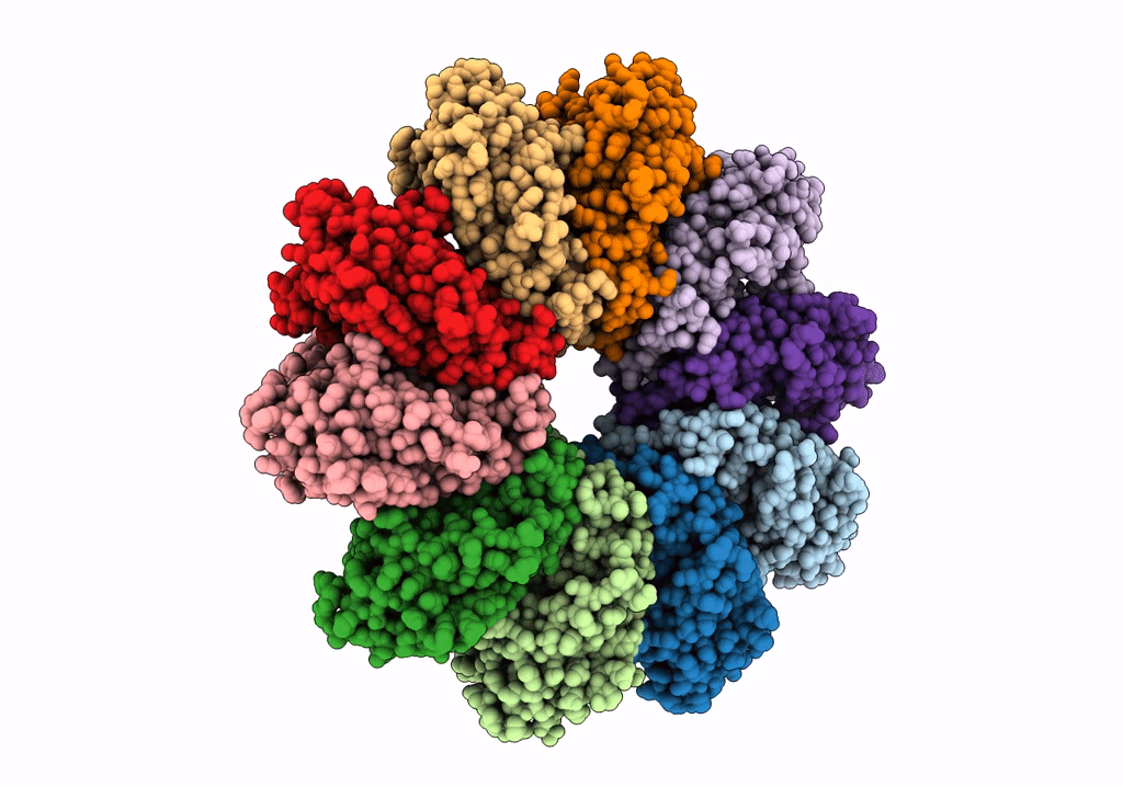 7RSL image