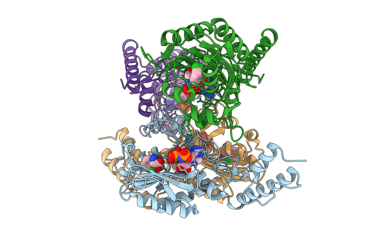 7RSM image